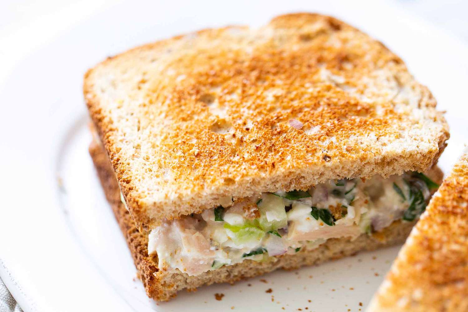sandwich-salad-tuna-pilihan-kelezatan-dan-khasiat-sehat-untuk-setiap-saat