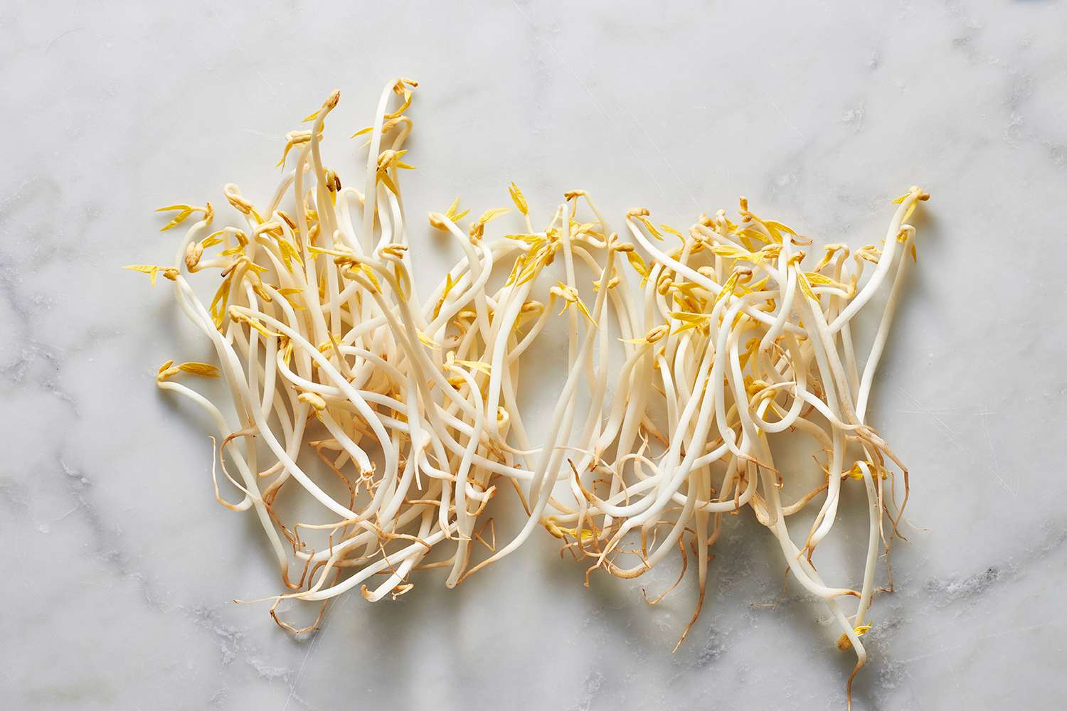 Bean Sprouts: A Nutrient-Dense Addition to Your Diet
