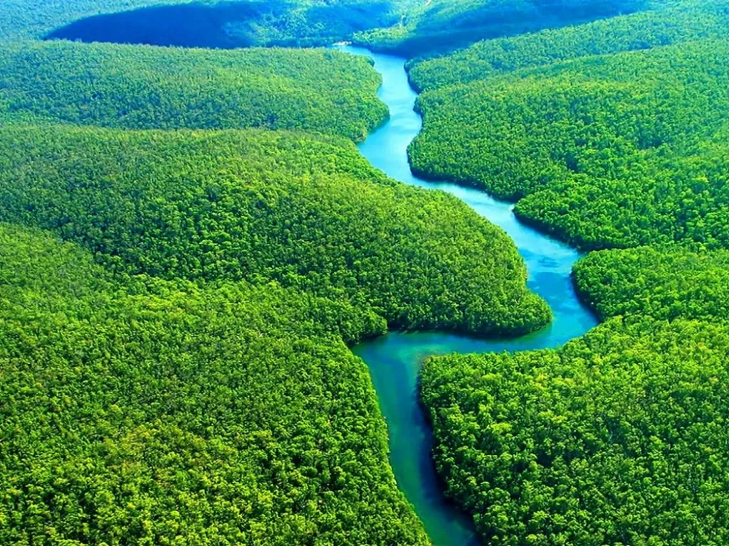 Hutan Amazon: Jantung dari Keseimbangan Ekosistem Bumi 2024