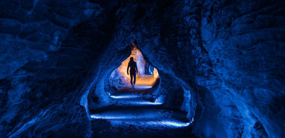 Penelitian Ilmiah di Waitomo Glowworm Caves