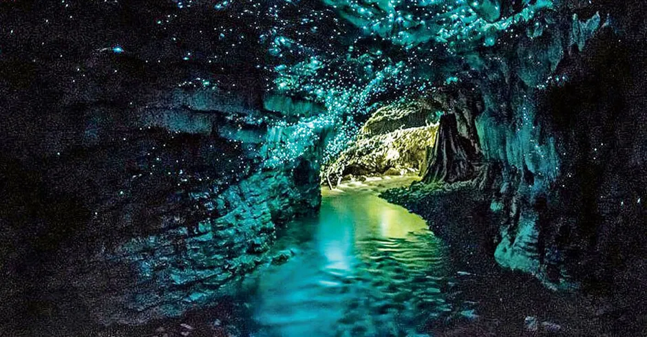 Sejarah Waitomo Glowworm Caves