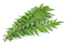 Curry Leaf