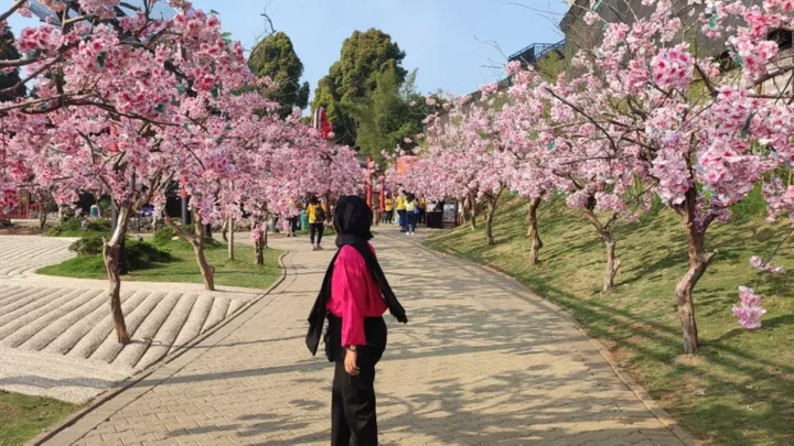 Taman Sakura Cibodas