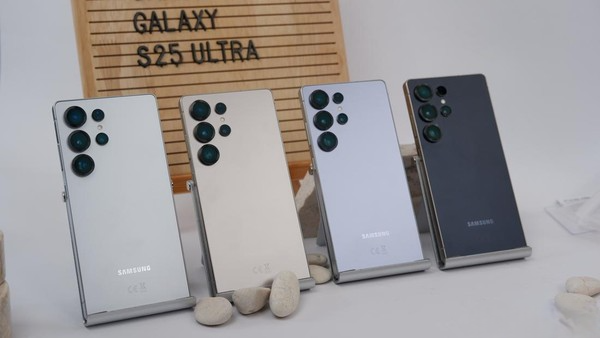 Samsung Galaxy S25