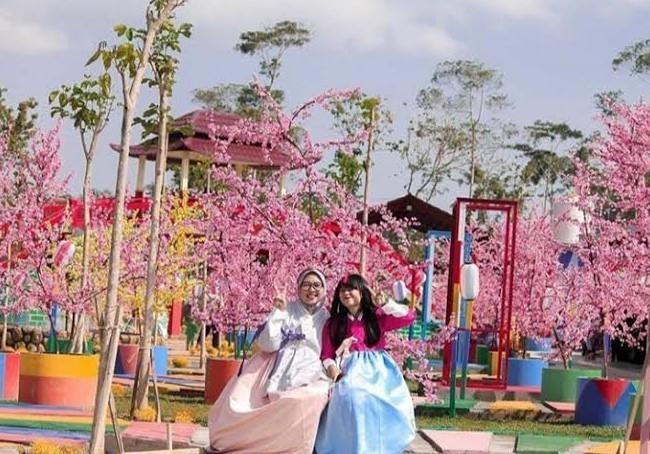 Taman Sakura Cibodas