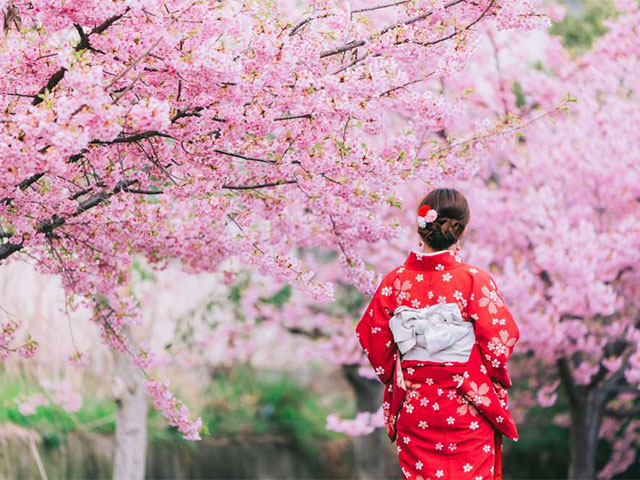 Taman Sakura Cibodas