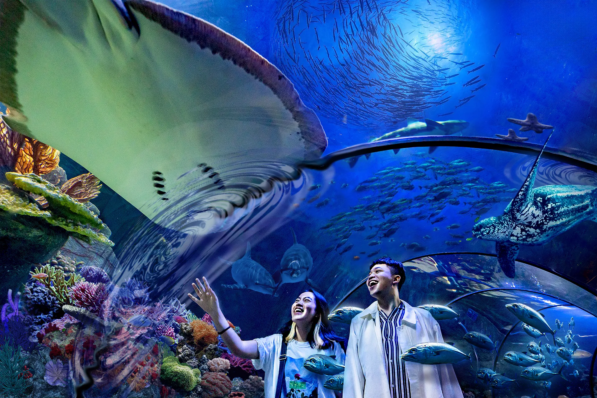 Seaworld: Pengalaman Asyik dan Pelajaran Berharga Saat Berkunjung