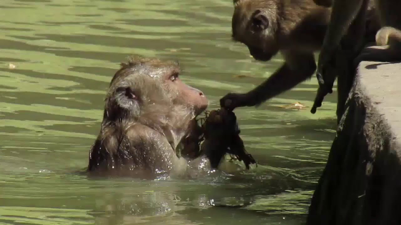 Struktur Sosial dalam Ruang Hidup